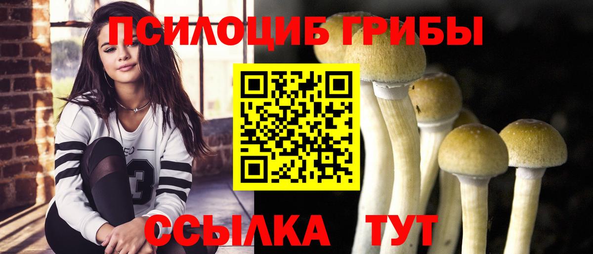 Псилоцибиновые грибы Cubensis Похвистнево