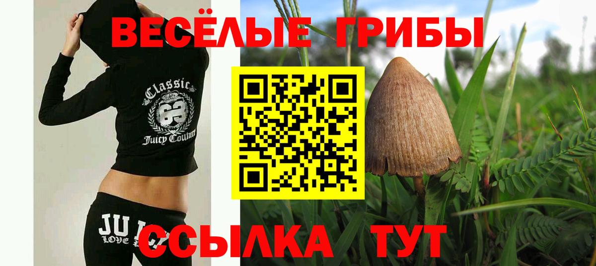 Галлюциногенные грибы мицелий  Вход с VPN  Похвистнево 